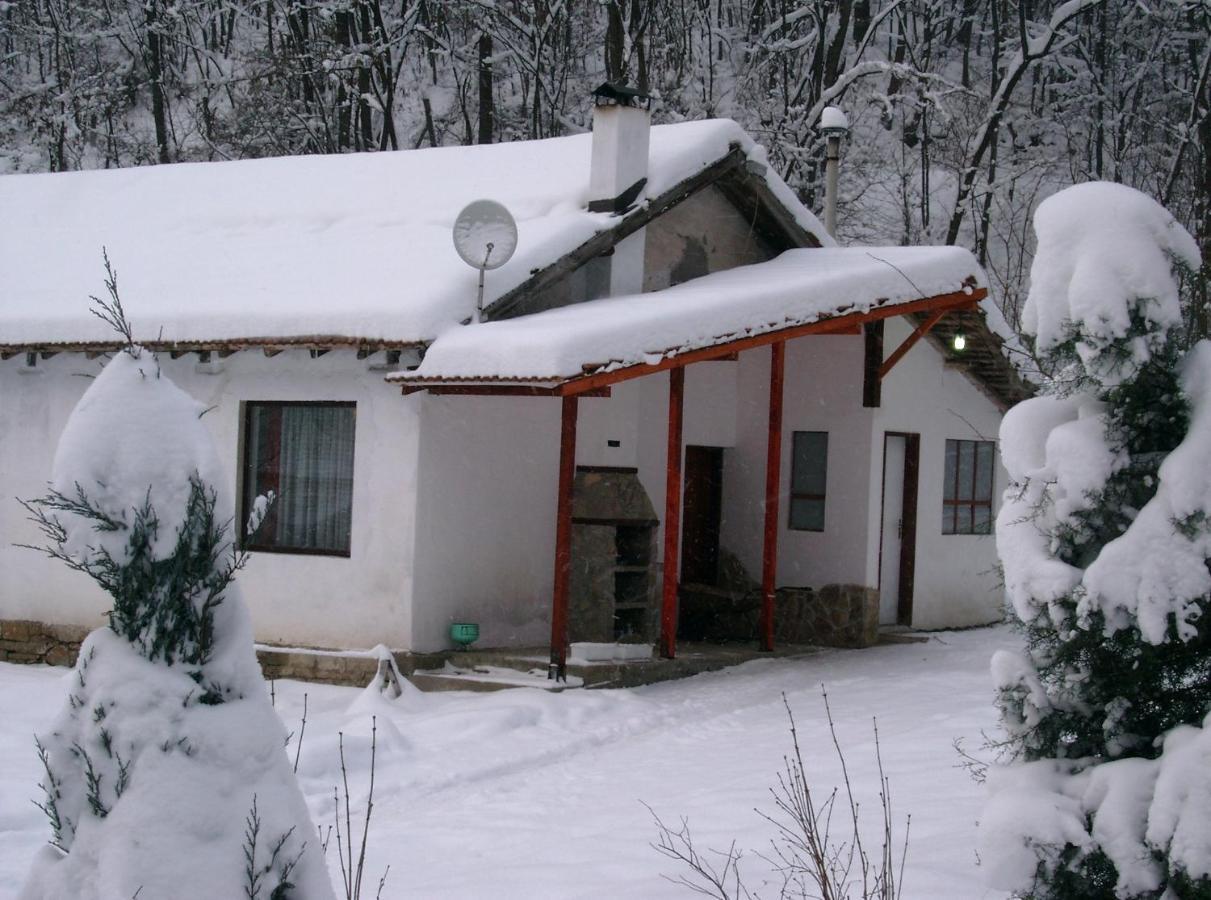 Holiday Home Tanevi Tryavna Eksteriør billede
